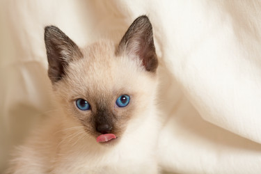 Similar image 545672