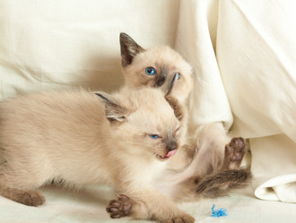 Similar image 545673