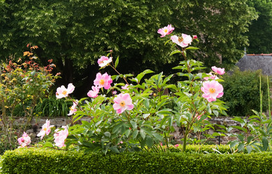 Similar image 545677