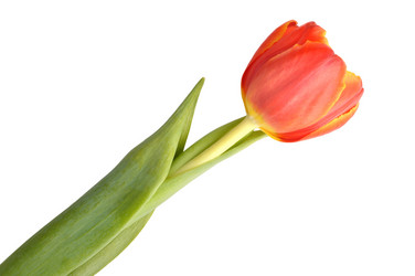 Similar image 545703