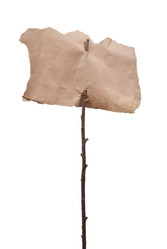 Similar image 545747