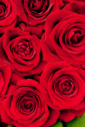 Similar image 545781