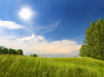 Similar image 545808