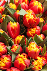 Similar image 545849