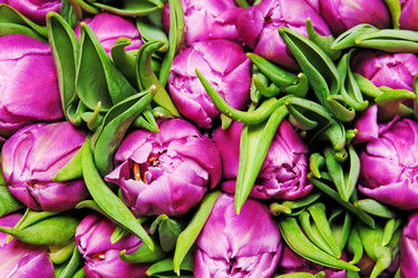 Similar image 545866