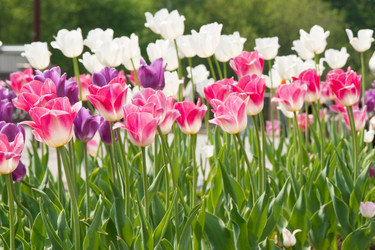 Similar image 545887