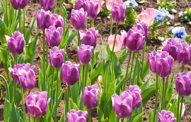 Similar image 545897