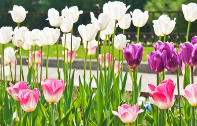 Similar image 545903