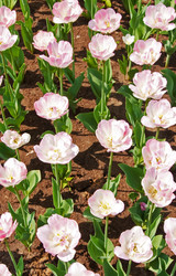 Similar image 545910