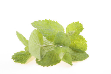 Similar image 545917