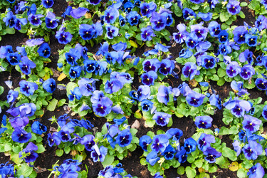 Similar image 545920