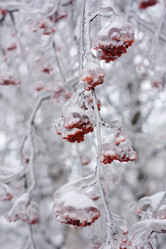 Similar image 545956