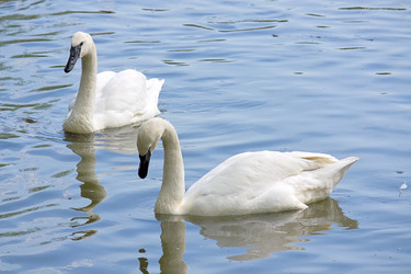 Similar image 545966