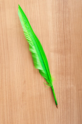 Similar image 545978