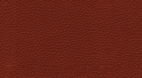 Similar image 545982