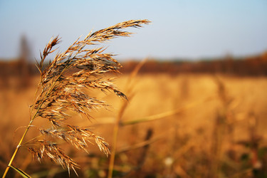 Similar image 546003