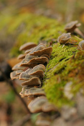 Similar image 546022