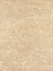 Similar image 546029