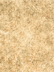 Similar image 546032