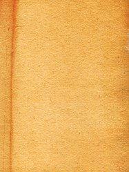 Similar image 546035