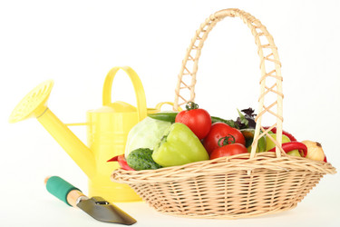 Similar image 546075