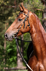 Similar image 546096