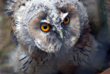 Similar image 546130