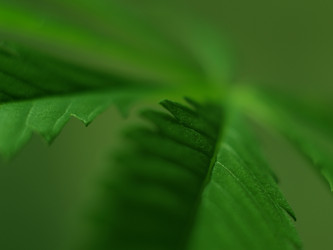 Similar image 546149