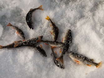 Similar image 546185