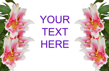 Similar image 546212