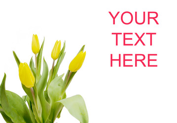 Similar image 546224