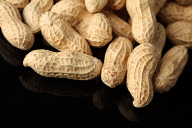 Similar image 546239