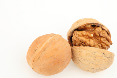 Similar image 546242