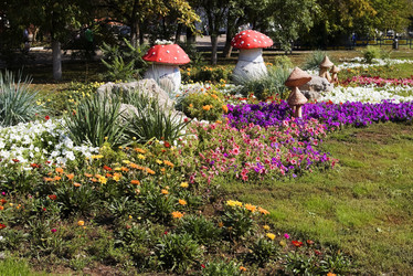 Similar image 546252