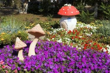 Similar image 546253