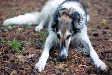 Similar image 546342