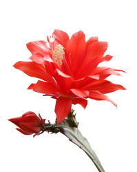 Similar image 546347