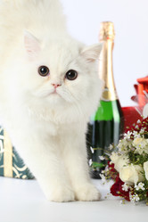 Similar image 546351