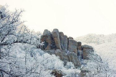 Similar image 546416