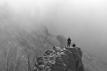 Similar image 546429