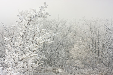 Similar image 546436