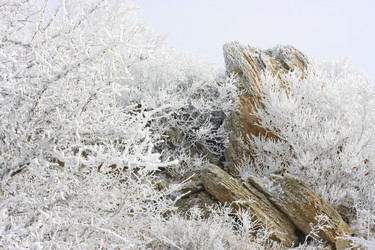 Similar image 546437