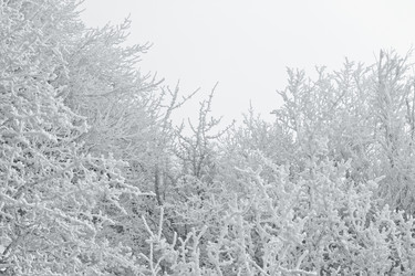 Similar image 546438