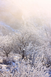 Similar image 546441