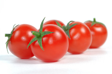 Similar image 546455