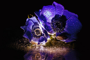 Similar image 546466