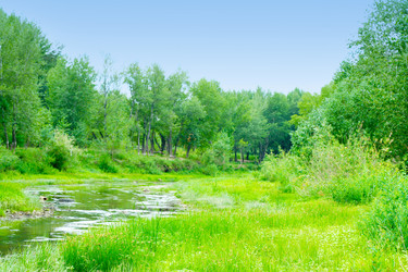 Similar image 546471