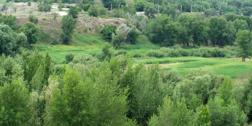 Similar image 546472