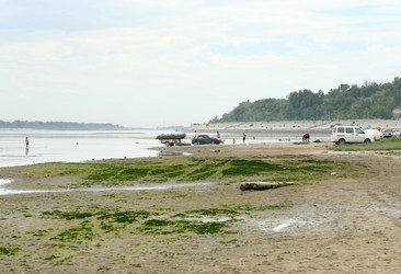 Similar image 546484