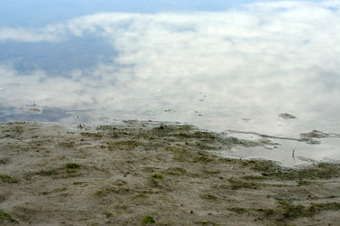 Similar image 546489